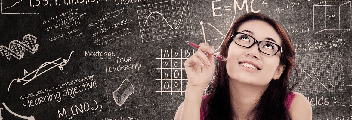 Söğüt Kız Erkek Apart