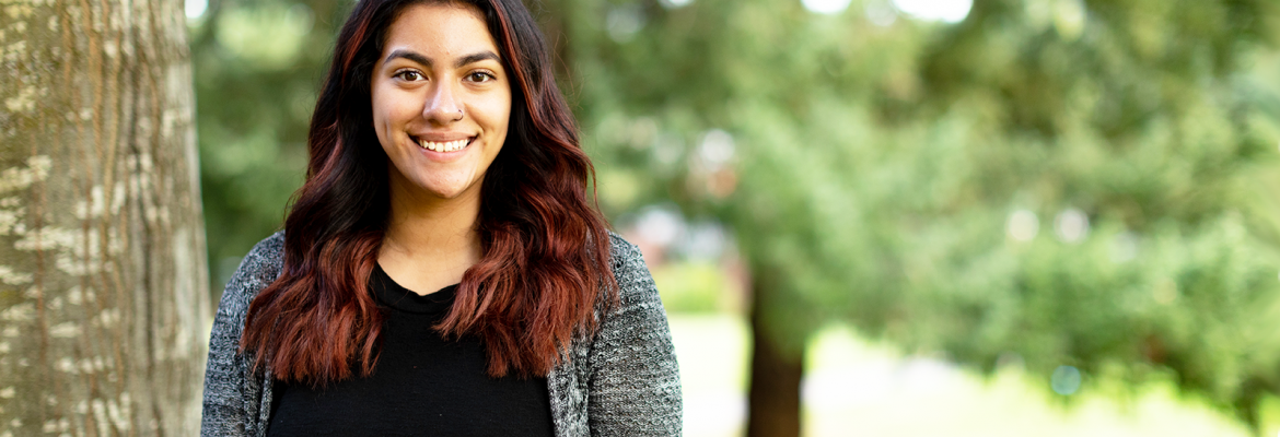 Söğüt Kız Erkek Apart